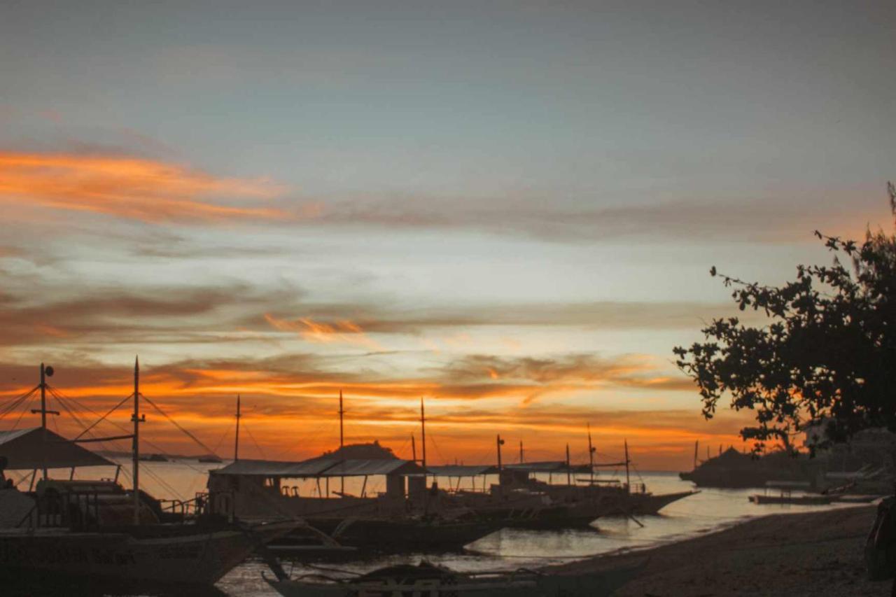 Blue Dolphin Hotel Malapascua Island 외부 사진